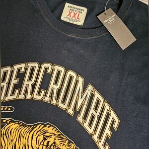 Abercrombie and Fitch blue, 2xl mens tshirt.